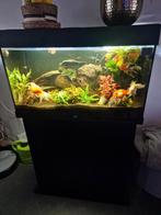 Juwel Rio 125, Dieren en Toebehoren, Ophalen of Verzenden, Leeg aquarium