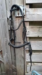 hoofdstel maat cob, Ophalen of Verzenden, Gebruikt