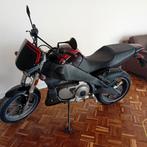 Buell xb12 xb12x Ulysses nette motor sportster blok, Motoren, Motoren | Buell, 2 cilinders, Sportuitlaat, Motorrijbewijs A, Particulier