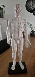 Meridianenpop / Acupunctuur model, Ophalen