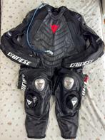 Leren motorpak heren leren pak Dainese EU 56, Motoren, Kleding | Motorkleding, Dainese, Nieuw zonder kaartje, Heren, Combipak