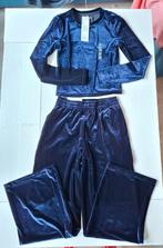 Nieuw blauw velvet pak set maat XS Uniqlo, Kleding | Dames, Blauw, Nieuw, Ophalen of Verzenden, Maat 34 (XS) of kleiner