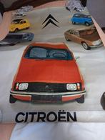 citroen poster  boek, Ophalen of Verzenden, Auto