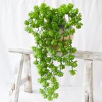 Lotus Vetplant Kunstplant / Hang Plant Hangplant Kunst Nep, Verzenden, Nieuw