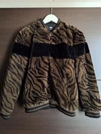 Leuk bomberjack jas van Shoeby!, Kinderen en Baby's, Kinderkleding | Maat 170, Ophalen of Verzenden, Zo goed als nieuw, Meisje