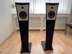 LYNGDORF DP-1 STEREO SPEAKERS, Audio, Tv en Foto, Overige merken, Front, Rear of Stereo speakers, Zo goed als nieuw, 120 watt of meer