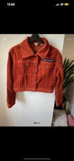 Daily paper jasje maat M, Ophalen of Verzenden, Zo goed als nieuw, Maat 36 (S), Zwart