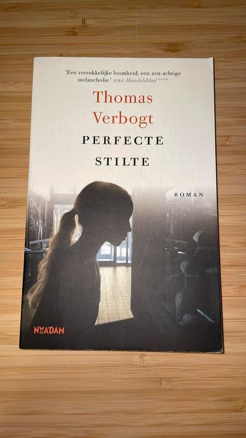 Perfecte stilte, Boeken, Romans, Gelezen, Ophalen of Verzenden
