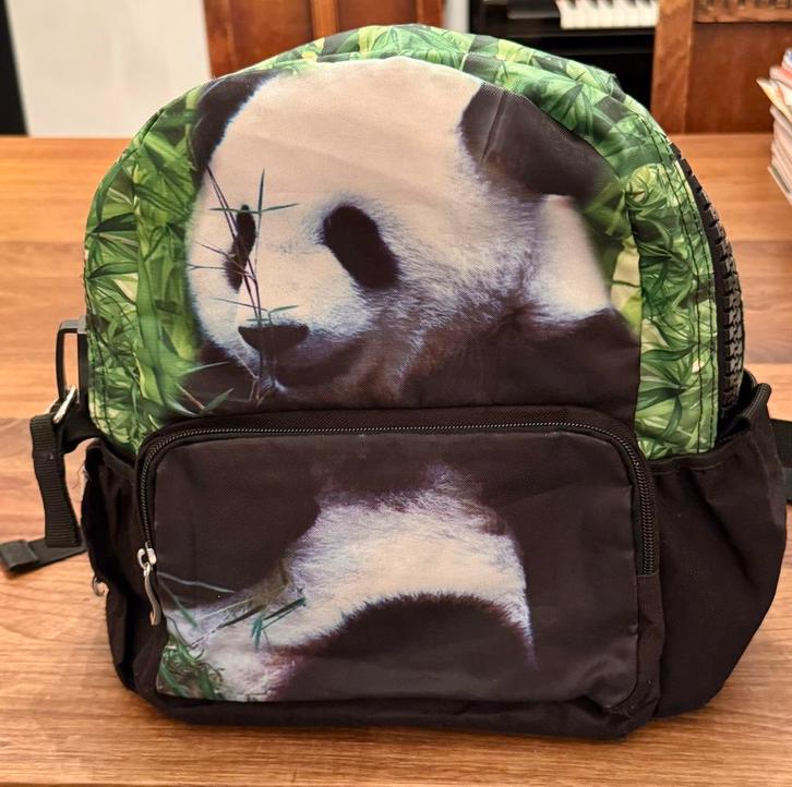 Rugzak Panda met brede draagbanden, kind, Sieraden, Tassen en Uiterlijk, Tassen | Schooltassen, Zo goed als nieuw, Rugtas, Ophalen of Verzenden