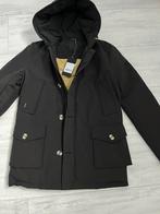 Airforce winterjas parka maat 164 / S Nieuw!, Jongen of Meisje, Nieuw, Ophalen of Verzenden, Airforce