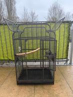 Mooie grote vogelkooi, Ophalen, Gebruikt, Metaal, Vogelkooi