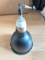 Lucky Reptile light dome, Ophalen, Zo goed als nieuw