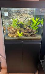 Juwel lido 120 aquarium met inhoud en kast, Zo goed als nieuw, Ophalen, Gevuld zoetwateraquarium