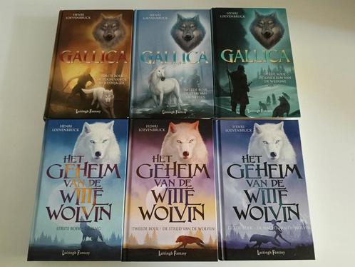 Henri Loevenbruck Gallica en het geheim van de witte wolvin, Boeken, Fantasy, Gelezen, Ophalen of Verzenden