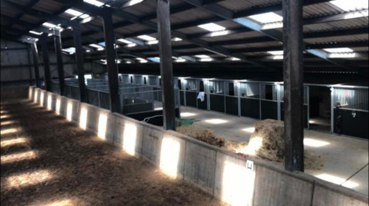 Stalling en weidegang, Dieren en Toebehoren, Stalling en Weidegang, Opfok, Stalling, Weidegang, 2 of 3 paarden of pony's