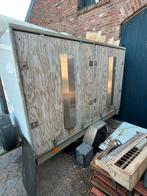Postduiven, Dieren en Toebehoren, Vogels | Duiven