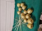 appels goud decoratie op steel 13 stuks, Ophalen of Verzenden, 'T Olde Gre-j, Info@toldegrej.nl, Endepoelstraat 20f Didam