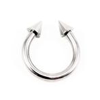 Roestvrij Stalen Wenkbrauw Spiked-Hoefijzer - RVS, Staal, Birgitta-Gracht 33, 6465 EL Kerkrade, Nederland, Verzenden, Nieuw