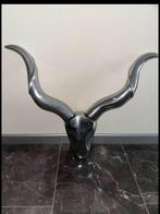 Mooie decoratieve skull voor aan de muur, Ophalen of Verzenden, Zo goed als nieuw