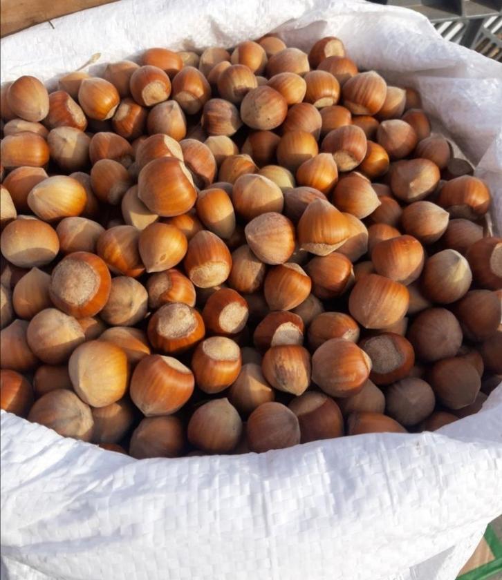 Hazelnoten uit Polen, oogst 2025, Diversen, Levensmiddelen, Ophalen of Verzenden