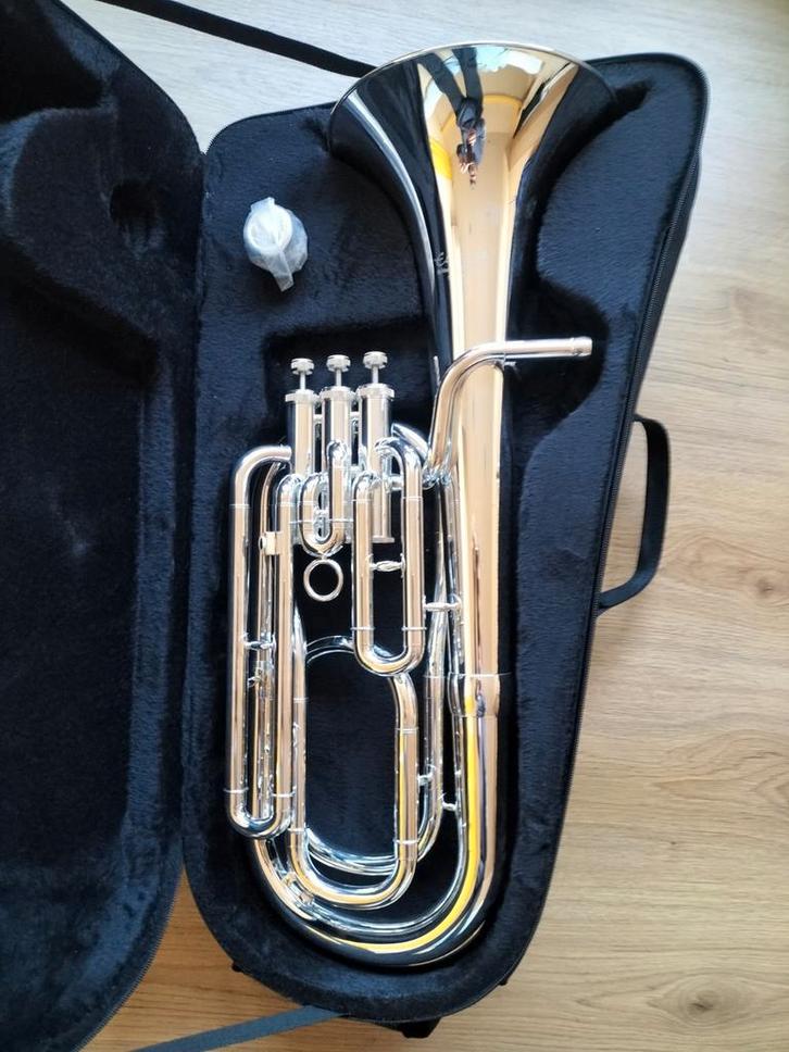 Elkhart 100BHS Bariton, Zilver


Nieuwe, Muziek en Instrumenten, Blaasinstrumenten | Tuba's, Nieuw, Euphonium of Tenortuba, Met koffer of draagtas