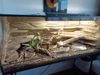 Terrarium 150x60x60 incl. 3D zij en achterwand en toebehoren, Ophalen, Zo goed als nieuw
