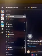 I will create an entire discord server! | read description, 1 speler, Ophalen of Verzenden, Zo goed als nieuw