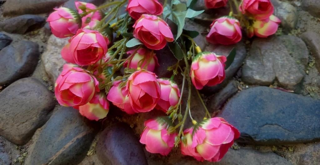 PIOENROOSJES KUNST TAK