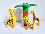 Duplo dierentuin safari dieren giraf, Ophalen of Verzenden, Gebruikt, Duplo