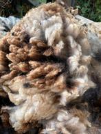 Bonte schapenvacht ongewassen, Ophalen of Verzenden, Gebruikt, Meerdere media