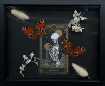 Dagpauwoog vlinders met tarot kaart in lijst beschikbaar voor biedingen