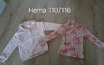 Trui en longsleeve van Hema, maat 110/116, Kinderen en Baby's, Kinderkleding | Maat 110, Ophalen of Verzenden, Gebruikt, Hema