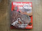 Wunderwelt im stein, Ophalen of Verzenden, Mineraal
