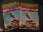 Blits Studievaardigheden Groep 8 - Bronnenboek en Werkboek, Gelezen, Overige vakken, Ophalen of Verzenden, Delubas