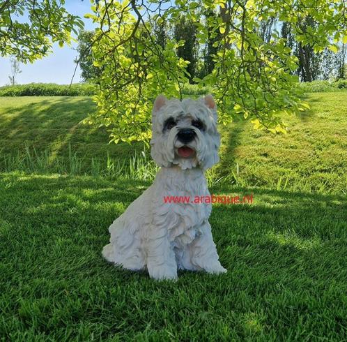 Westie   Shih-Tzu  Chihuahua  Herder  Dalmatiër Duitse dog, Tuin en Terras, Tuinbeelden, Nieuw, Dierenbeeld, Kunststof, Verzenden