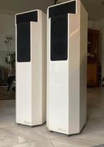 Elipson 1303 Foster in zeer goede staat, Audio, Tv en Foto, Luidsprekers, Refurbished, 60 tot 120 watt, Front, Rear of Stereo speakers