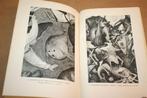 Pieter Bruegel de Oude - De val der opstandige engelen, Ophalen of Verzenden, Gelezen, Schilder- en Tekenkunst