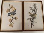 Set van 4 borduurwerk schilderijen van vogels groot, Ophalen of Verzenden, Hout