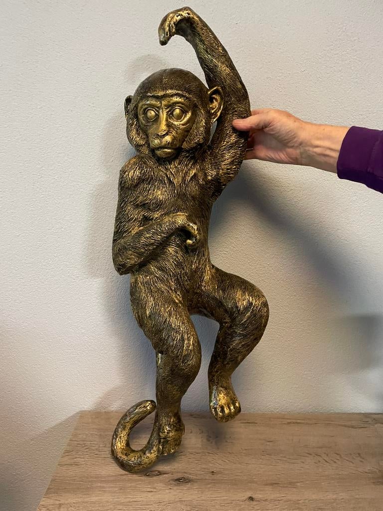 Slingeraap, Ophalen, Nieuw, Dier