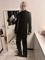 Draco Malfoy Kartonnen Uitsnede Harry Potter, Ophalen, Gebruikt, Boek of Poster