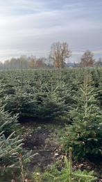 Te koop kerstbomen, Ophalen