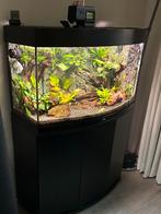 Juwel 180 vision met helialux spectrum, en smartcontrol, Dieren en Toebehoren, Vissen | Aquaria en Toebehoren, Ophalen, Zo goed als nieuw