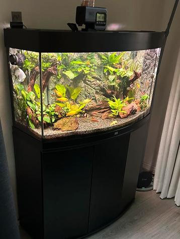 Juwel 180 vision met helialux spectrum, en smartcontrol beschikbaar voor biedingen