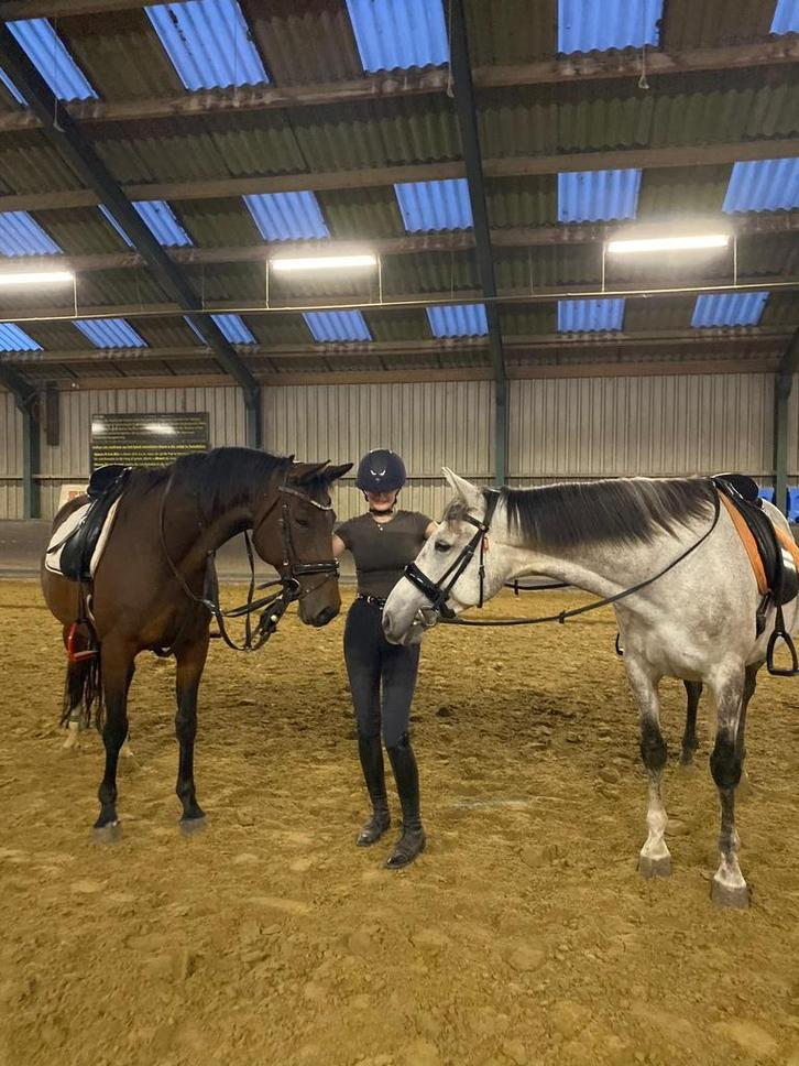 Bijrijd paard of pony gezocht, Dieren en Toebehoren, Paarden en Pony's | Verzorgingsproducten, Zo goed als nieuw, Ophalen of Verzenden