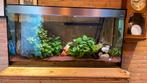 Aquarium - compleet, Ophalen, Zo goed als nieuw