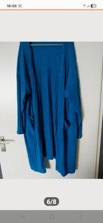 Blauw vest, Kleding | Dames, Ophalen of Verzenden, Nieuw, Blauw, Trui of Vest