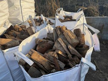 Haard hout (essen) per 1 m3 beschikbaar voor biedingen