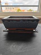 Bonsai pot incl. schaal | Blauw geglazuurd., Gebruikt, Aardewerk, Rechthoekig, Tuin