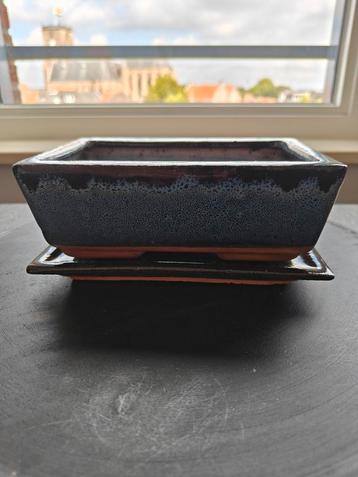 Bonsai pot incl. schaal | Blauw geglazuurd. beschikbaar voor biedingen