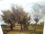Van Gogh: herfstlandschap met vier bomen, Ophalen, Minder dan 50 cm, Gebruikt, Print